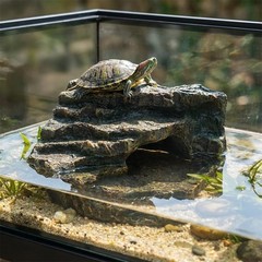 Reptile Tank Accessories, Turtle Tank Decor, Aquarium Caves, Perfect Gecko Hi…