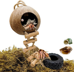 Hermit Crab Coconut Shell Hideout with Climb Ladder,Leopard Gecko Hide Hut with