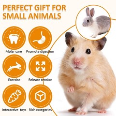 Hamster Toys Set, Guinea Pig Toys Small Animal Chewing Toy and Rat Cage Acces…