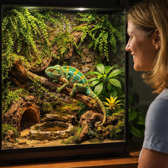 2 Pack Reptile Plants Terrarium Hanging Fake Vines with Suction Cup for Geckos