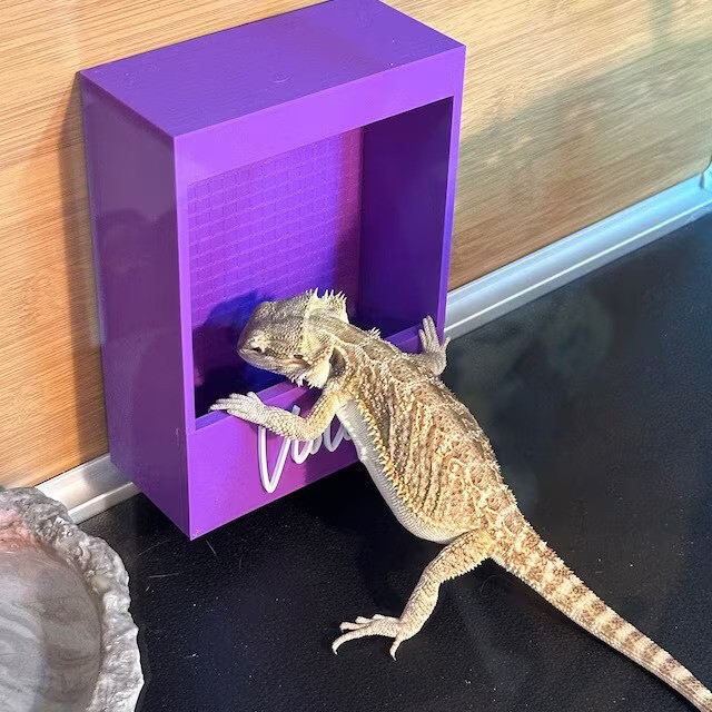 Repti-Feed, Reptile feeder, customizable / personalized, WITH NAMES, Magnetic