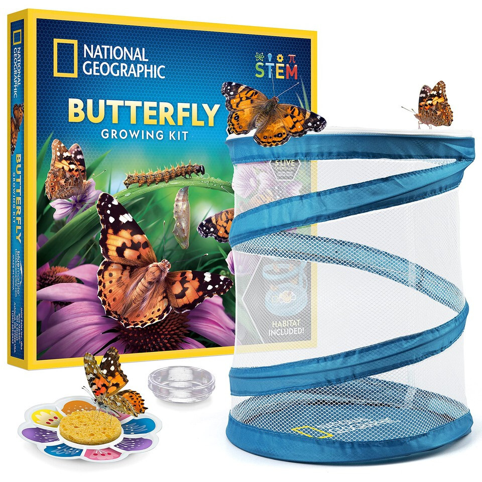 NATIONAL GEOGRAPHIC Butterfly Growing Kit – Butterfly Habitat Kit with Vouche…