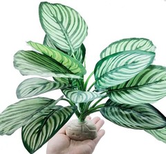 Reptile Terrarium Decor,Amphibian Habitat Decor,Artificial Plants for Crested…