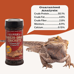 Freeze Dried Crickets, Ideal for Reptiles, Birds, and Fish, Packed with Protein