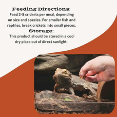 Freeze Dried Crickets, Ideal for Reptiles, Birds, and Fish, Packed with Protein