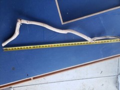 38″ Sanded Manzanita branch cane walking stick #122