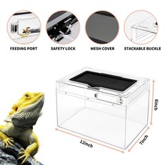 Mini Reptile Terrarium Set,12″ x 7″x 6″ Low 12″ x 6″, Transparent