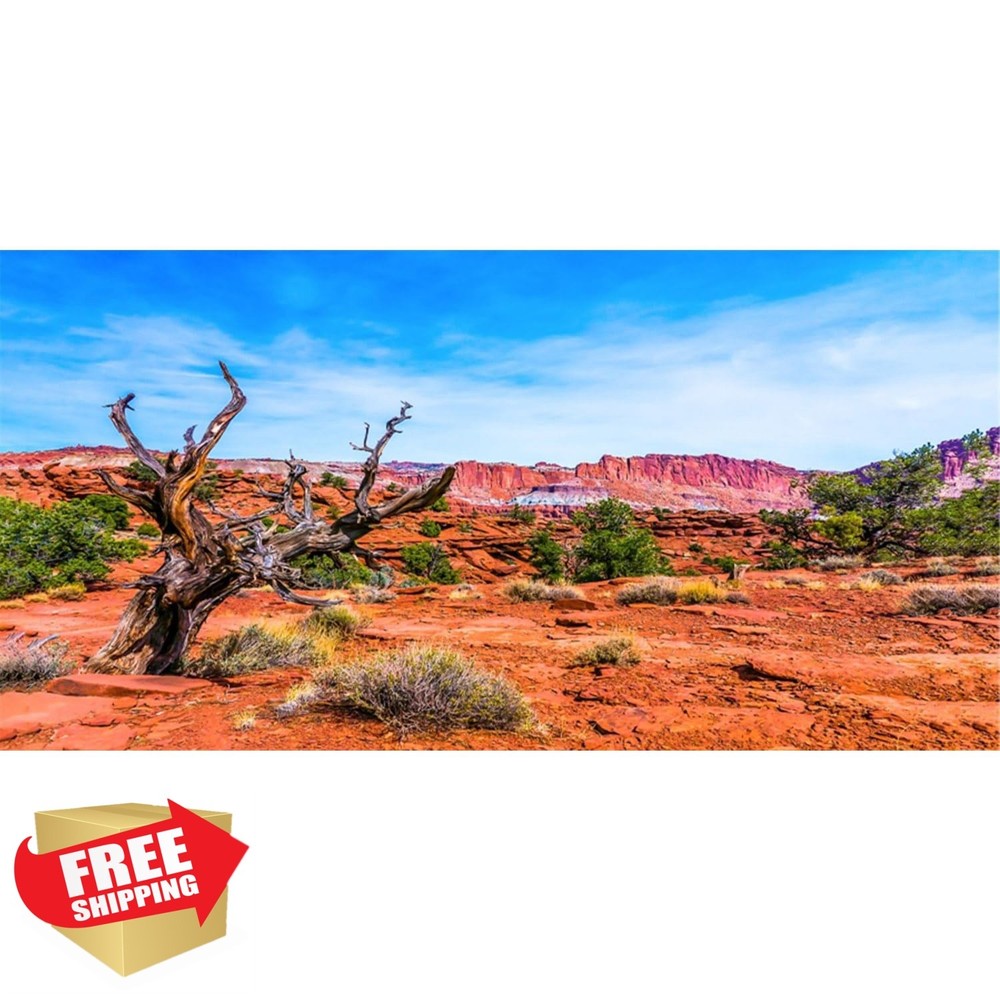 AWERT 36x18in Reptile Habitat Background Blue Sky Orange