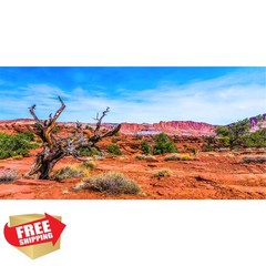 AWERT 36x18in Reptile Habitat Background Blue Sky Orange
