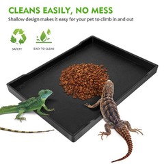 Tortoise Food Bowl Reptile Large Water Dish Turtle Feeder Plate Baby