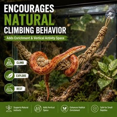 kaiwankalo Snake Enclosure Accessories, Reptile Climbing Toy Natural Beige