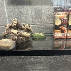 20 Gallon Reptile Terrarium Tank Kit UVB Bulbs Dishes Screen Lid