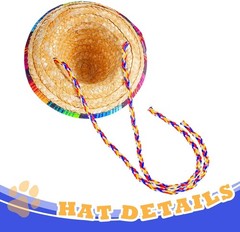 2 Pack Bearded Dragon Sombrero Hats – Lizard Cinco De Mayo Small, 2