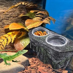 Reptile Feeding Ledge with Suction Cups,Crested Gecko Feeder Ledges with 2 Pc…