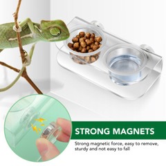 Suction Cup Feeding Bowl Reptile Gecko Ledge Magnetic Dish & Water