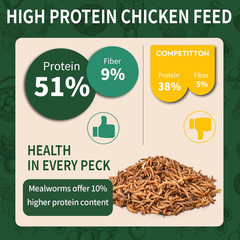 Dried Mealworms 5LB, 100% Natural, Non-Gmo Mealworms for Chickens – High Protein