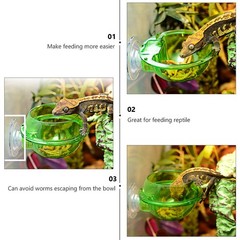 4 Pcs Reptile Feeding Basin Feeder Bowl Gecko Water Dish for Reptiles