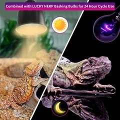 Reptile Heat Lamp 50W 2 Pack, Reptile Night Heat Bulb, Reptiles & Amphibians …