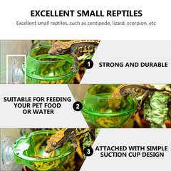 4 Pcs Reptile Feeding Basin Feeder Bowl Gecko Water Dish for Reptiles