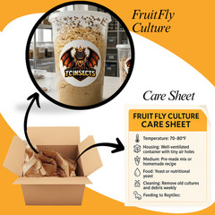 TC INSECTS 32oz Hydei Fruit Fly Culture Live Feeder Insects