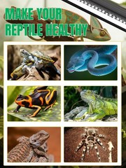 LED UVB Light for Reptiles, 8W 8-Inch Reptile LED Light for Bearded Dragon Li…