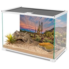 AWERT 30×12 inches Terrarium Background Blue Sky Cloud Huge Cactus Oasis Gobi…