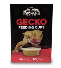 Large Gecko Ledge Cups 100 Count