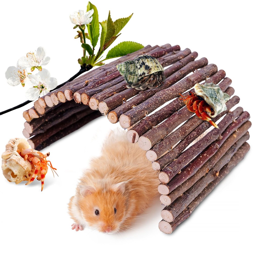 Hermit Crab Hideout & Climbing Toys – Large Size Reptile Climbing Decor for S…