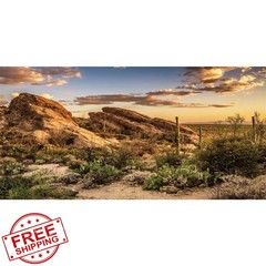 AWERT Reptile Background 36×18
