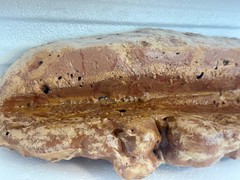 Magnetic Rock Ledges Made For Terrariums And Cages