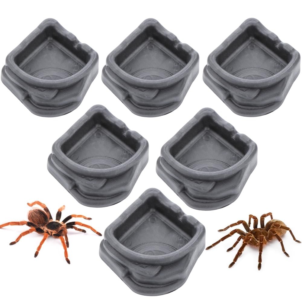 6 Pcs Spider Micro Water Bowl, Small Resin Dish for Tarantula Hermit black