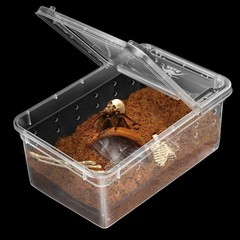 6 Pack Mini Jumping Spider Enclosures, Portable Breeding Box, Clear Plastic