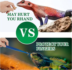 Pinzas alimentacion reptiles 4 pack antideslizantes azules para lagartos y mas