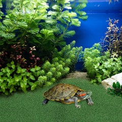 Turtle Basking Platform Turf Simulated Turtle Turf Fish Simulation Turf
