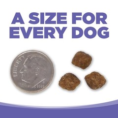 Puppy Food for Small and Medium Breeds, Chicken Meal and Rice, 4LB