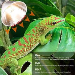 3 Pack UVA UVB Reptile Light Halogen Bulbs Beads Heat Lamp (25 Watt) Clear