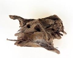 NATURAL MANGROVE DRIFTWOOD #M111 WYSIWYG – AQUASCAPING, SUPER PRICE!! DECORATION