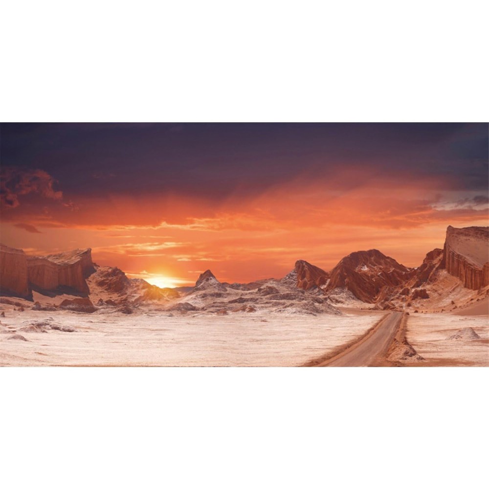 AWERT 48×18 inches Sun and Desert Terrarium Background Orange Reptile Habitat…