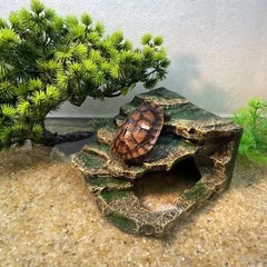 Hermit Crab Climbing Steps and Hideout Resin Simulation Rock Reptile Hides an…
