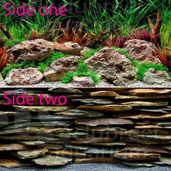 Seaview Aquawild Planted/Stacked Slate Slateways 12″H Aquarium Background