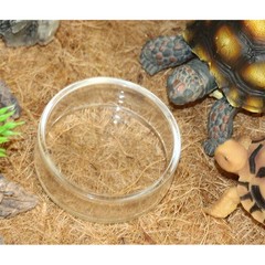 4Pcs Pet Reptile Feeder Glass Bowls Durable Transparent Food Water Cup