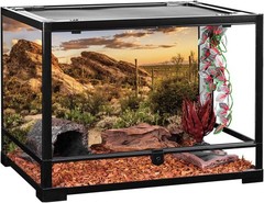 Vibrant 36×18″ Polyester Terrarium Background – Easy to Install, Long-Lasting