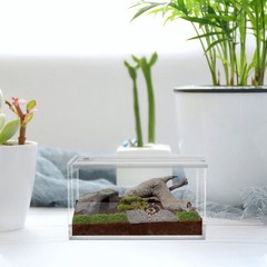 2 Pack Transparent Breeding Box Lizard Aquarium Jumping Spiders Habitat