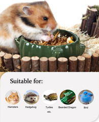 Reptile Food Dried Mealworms Pet Worms Food for Bearded Dragon, Lizard, Turtles,