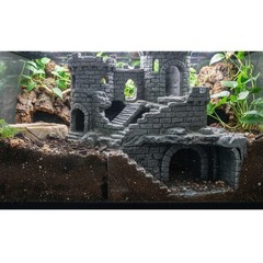 Crumbling Castle Hide and climb And Burrow Dungeon- Underground Viewing dungeon