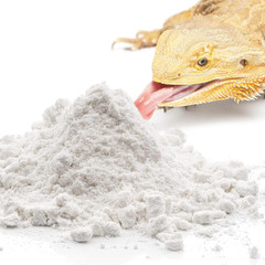 Cocoo Reptile Calcium Powder, Ideal for Leopard Geckos, Chameleons, Iguanas, Tur
