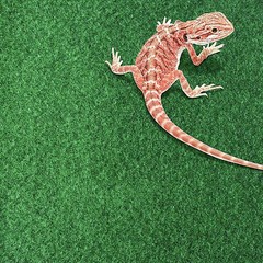 Reptile Carpet Terrarium Bedding Substrate Liner with Strong Water Absorption