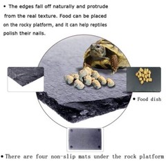 Reptile Basking Platform Tortoise Feeding Dish Natural Rock Reptile Food Bowl La