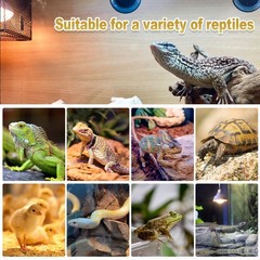 100W Reptile Heat Lamp Bulbs, 2Pack Heat Lamp Bulbs for Reptiles Basking Bulb…