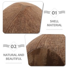 4Pcs Coconut Shell Reptile Caves Durable Hideouts for Geckos Hermit Crab Tanks